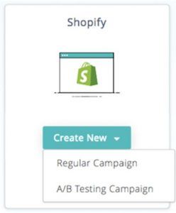 Shopify Campaigns pic 3
