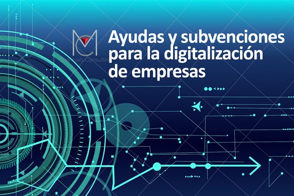 ayudas y subvenciones para la digitalización de empresas