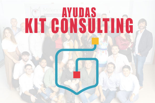 ayudas kit consulting