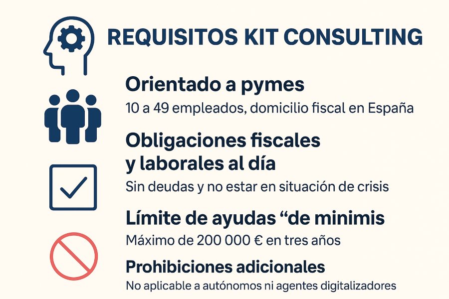 requisitos kit consulting