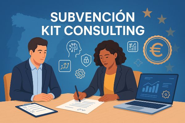 subvencion programa kit consulting